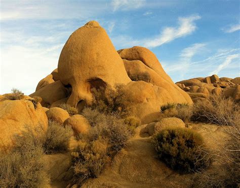 All This Is That: At Skull Rock in Joshua Tree National Park