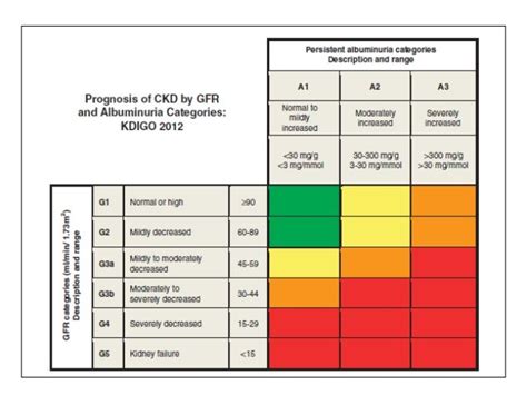 KDIGO CKD 2012