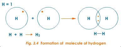 How does the formation of covalent bonds relate to the octet rule ...