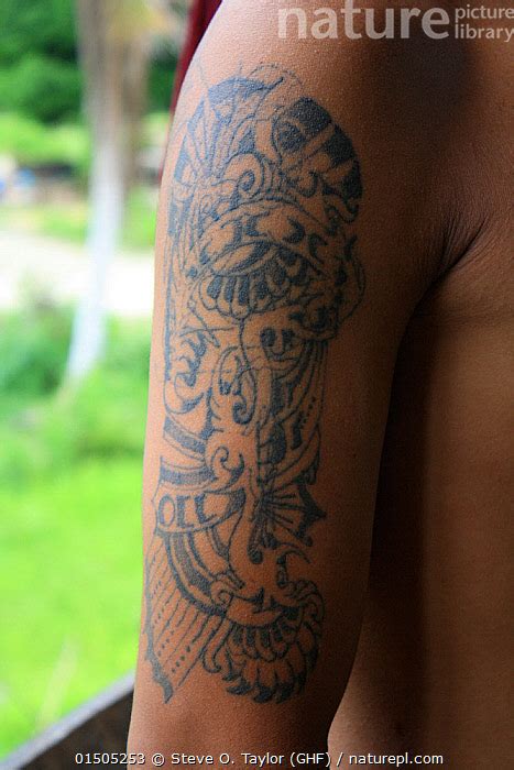 Stock photo of Dayak man with non traditional tattoo, Central Kalimantan, Indonesian ...