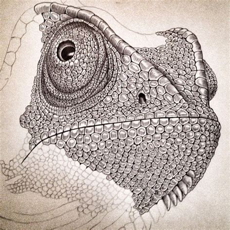 draw lizard scales - Google Search | Stippling art, Drawings, Lizard