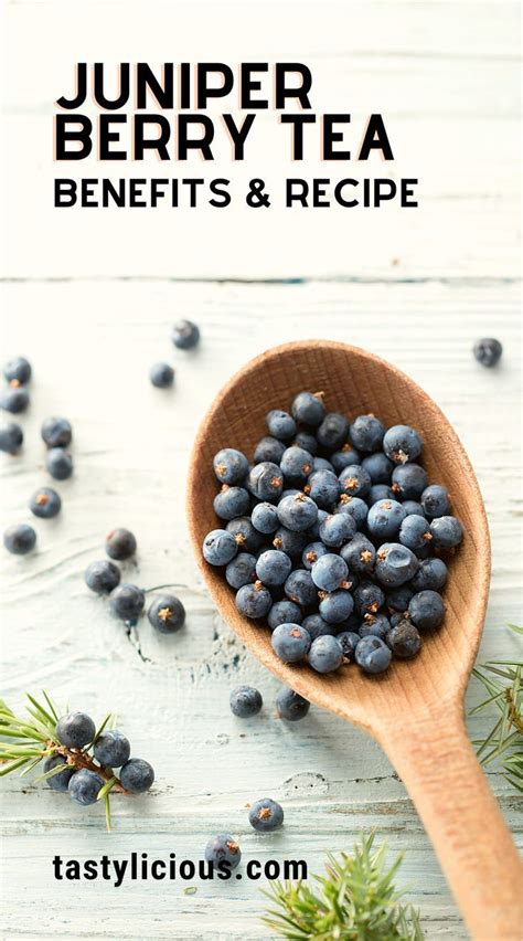 Juniper Berry Tea Benefits and Recipe - Tastylicious | Recipe | Herbal tea benefits, Herbal teas ...