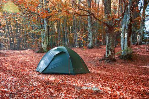 Talladega National Forest Camping Guide - Beyond The Tent