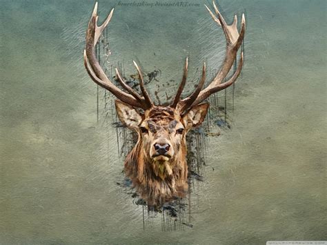 Deer Wallpapers - Wallpaper Cave