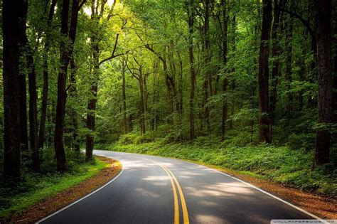 Green Road Wallpapers - Top Free Green Road Backgrounds - WallpaperAccess