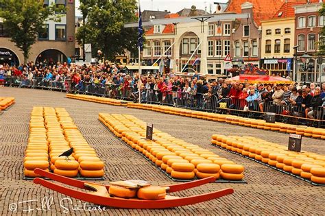 Alkmaar Cheese Market - Recommended Day Trip from Amsterdam