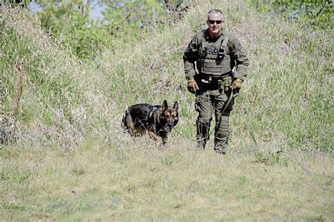 RCMP police dogs have big impact – Our Communities