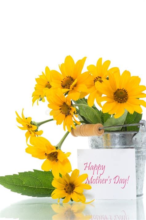 Bouquet of Beautiful Blooming Yellow Daisies Isolated on White Stock ...