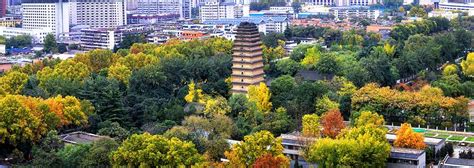 Small Wild Goose Pagoda： Another symbol of ancient Xi'an