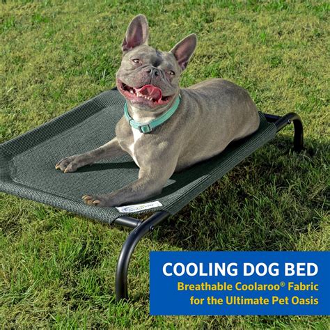 Coolaroo Gale Pacific The Original Cooling Elevated Dog Bed, Indoor and ...