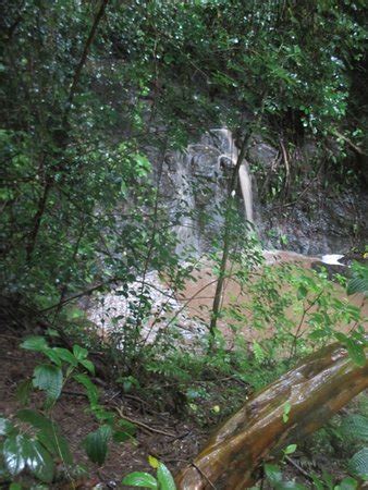 Hauula Loop Trail - 2019 All You Need to Know BEFORE You Go (with Photos) - TripAdvisor