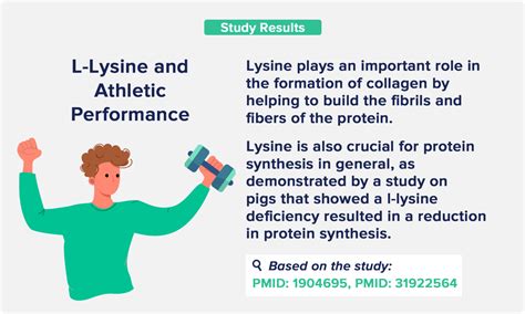 L-Lysine Benefits: From Anxiety to Muscle Growth - The Nutrition Insider