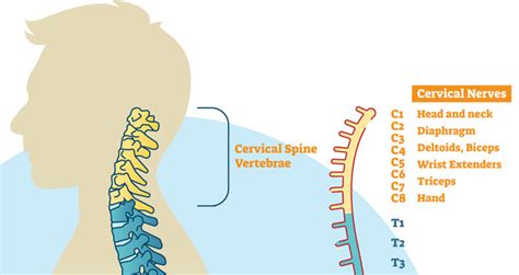 Referred Shoulder Pain - Symptoms, Causes and Treatment