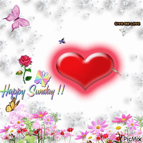 HAPPY SUNDAY Sunday Gif, Happy Sunday Images, Good Morning Happy Sunday, Cute Good Morning ...