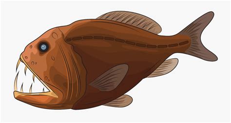 Anglerfish , Free Transparent Clipart - ClipartKey