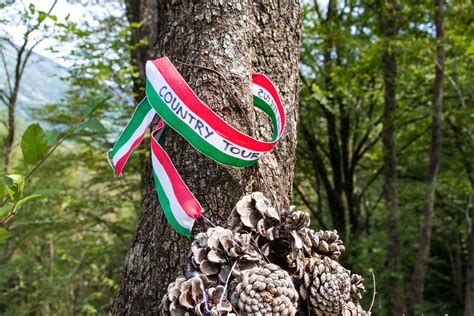 Tape in italian flag colors hanging on a tree - Creative Commons Bilder