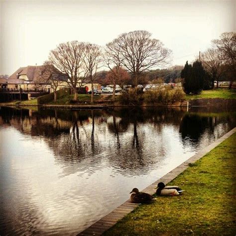 Sutton Park | Sutton park, Nature, Beautiful nature