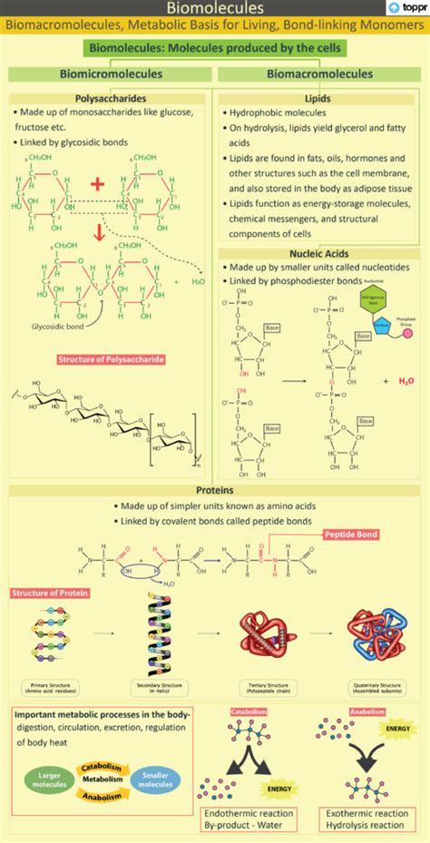 Bond Linking Monomers: Types with Concepts, Videos and Examples