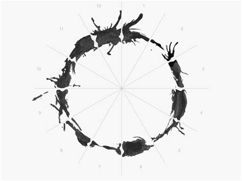 How Arrival's Designers Crafted a Mesmerizing Alien Alphabet | WIRED