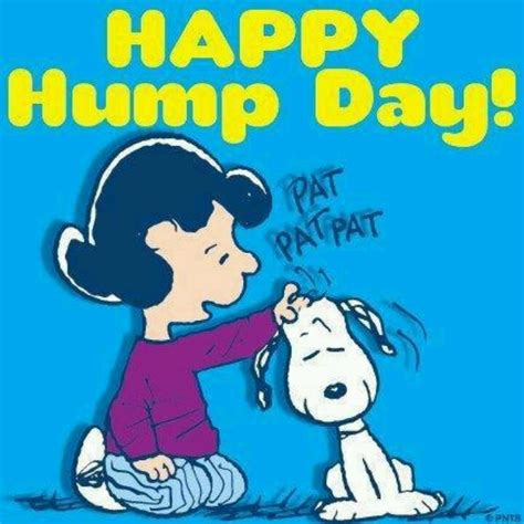 hump day | Snoopy quotes, Happy wednesday quotes, Good morning happy