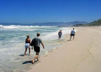 Grootbos Nature Reserve - Beach & Cave Walks, Whale Watching (Activities)