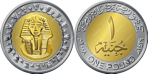 Premium Vector | Mone of Egypt, gold coin of 1 pound, reverse with ...