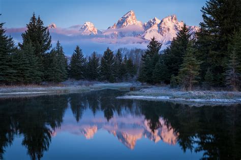 Download Fog Forest Wood Tree Reflection Mountain Wyoming Grand Teton National Park Nature The ...