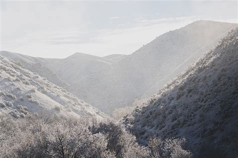 Thriving in your 1st Idahoan Winter - Idaho Wild