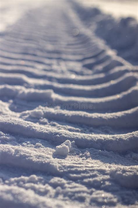 Fresh Tracks from the Tractor in the Snow in Winter Stock Image - Image ...