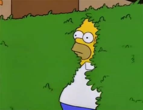 Image - Homer Bush.png | Simpsons Wiki | FANDOM powered by Wikia