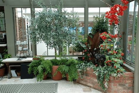 Picture Of Winter Garden Design Ideas