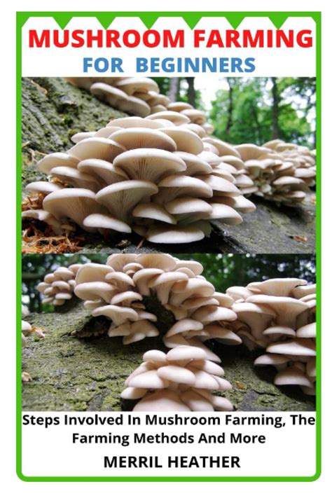 Buy MUSHROOM FARMING FOR BEGINNERS: Steps Involved In Mushroom Farming ...