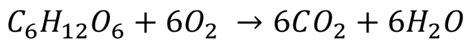 Aerobic Respiration - Key Stage Wiki