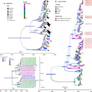 (PDF) Prevalence, evolution, replication and transmission of H3N8 avian influenza viruses ...