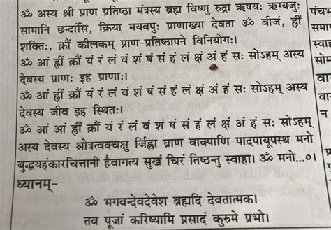 Pran Pratishtha States Declare Holiday On Consecration Day Letter | My XXX Hot Girl