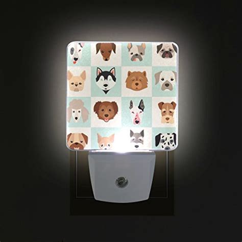 Dog Night Lights | Kritters in the Mailbox | Dog Night Light