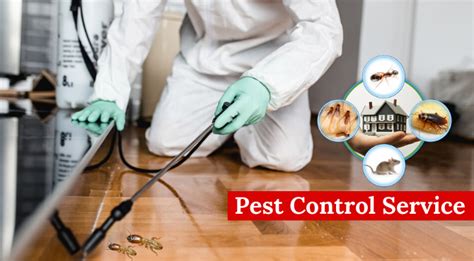 Effective Residential Pest Control Services in Delhi | Fauzpest Control