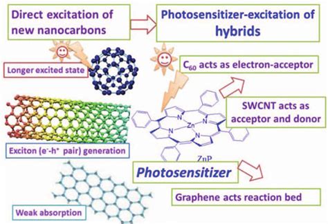 Photophysical and photochemical properties of fullerenes, SWCNTs and ...