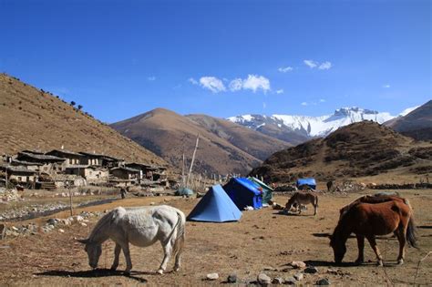 Laya-Gasa Trek one of the most beautiful high altitude treks in Bhutan. | Bhutan travel, Bhutan ...