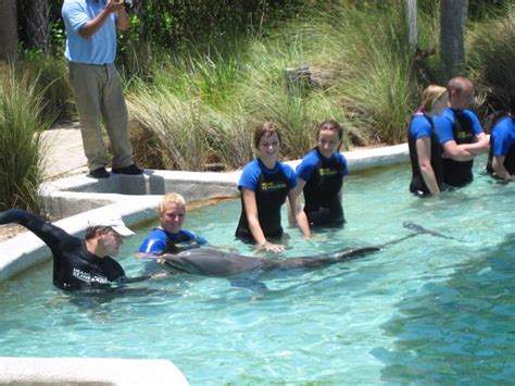 Dolphin World (Miami) - 2021 All You Need to Know Before You Go (with ...