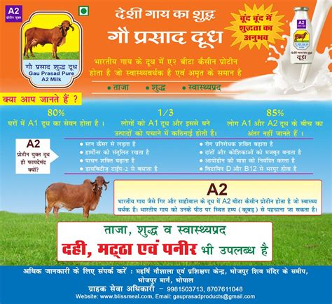 Healthy Benefits of Cow Ghee and Milk - Top Public Schools in India - Maharishi Vidya Mandir(MVM)