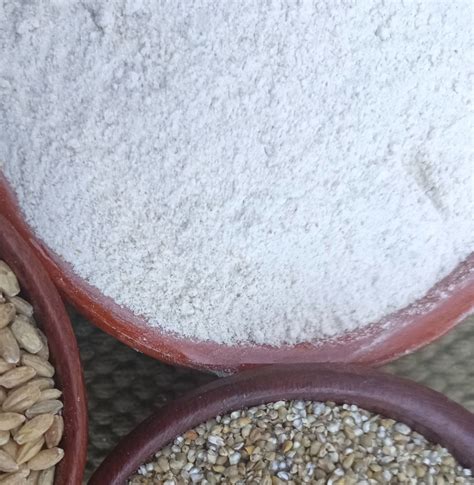 Buy Single Farm Organic Barley Flour Online - Bio Basics