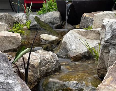 How To Build A Landscape Stream In Your Backyard 💧