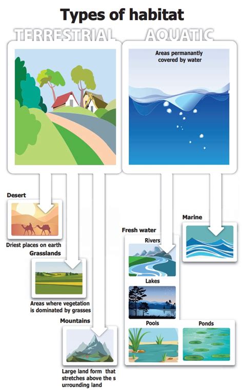 Habitat - The Living World of Plants | Term 1 Unit 4 | 6th Science