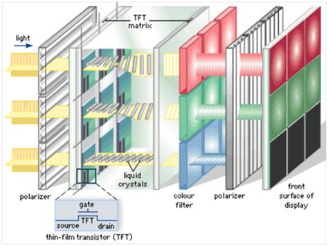 POLED vs IPS - the differences in display tech explained