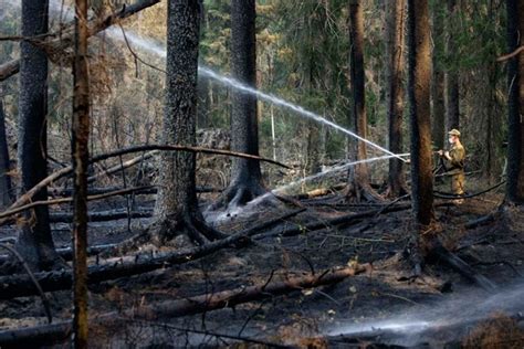 Forest Fire in Russia | Amusing Planet