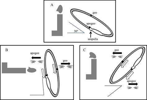 Lying-down nystagmus and head-bending nystagmus in right horizontal... | Download Scientific Diagram