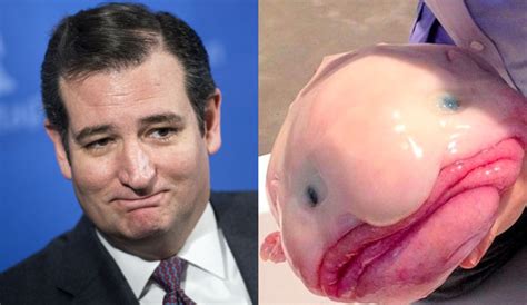 Photos from The 5 Blobfish On The Internet That Happen To Look Just Like Ted Cruz - E! Online