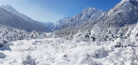 North Sikkim Welcomes Winter As It Receives Season’s First Snowfall Today, See PICS