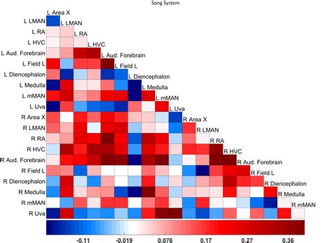 Correlation Matrix